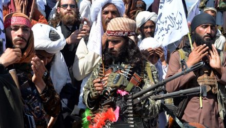 talibanes