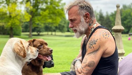 Perro-de-Gianluca-Vacchi-1