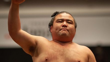 Shobushi