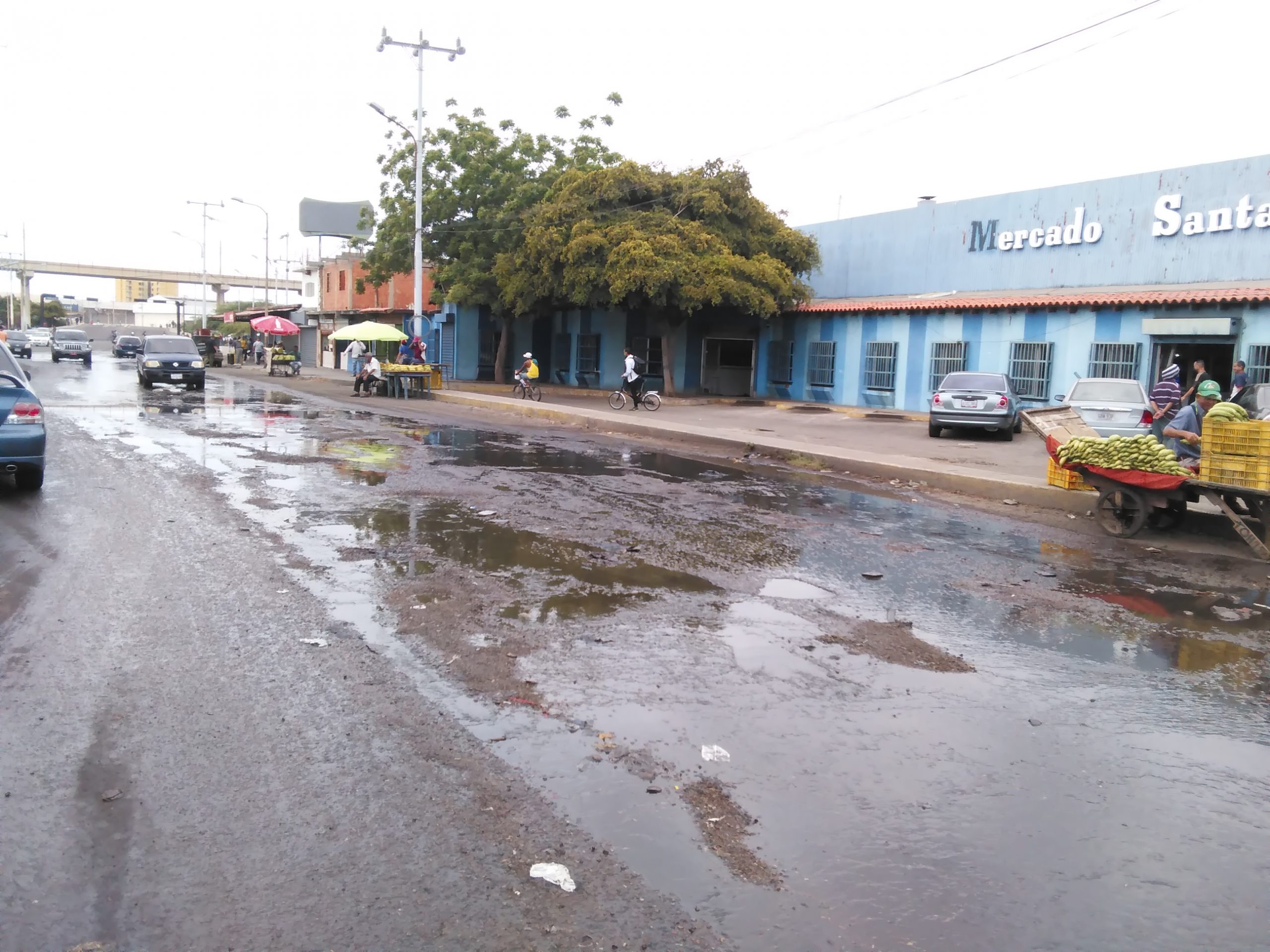Aguas servidas afectan a Santa Rosalía
