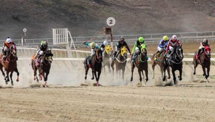 corridas de caballos
