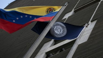 BCV Primer Informe