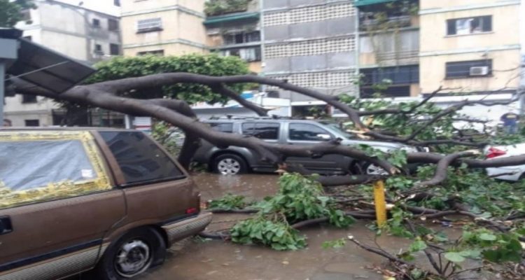 Árboles caídos e inundaciones tras tormenta eléctrica en Caracas 1 Capturaarboles
