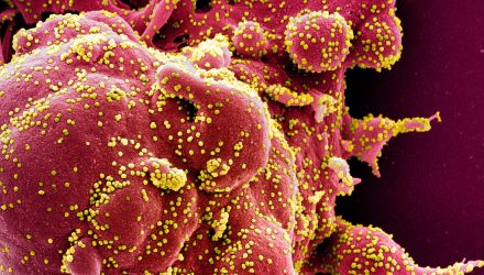 Coronavirus