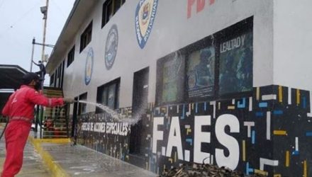 FAES 4