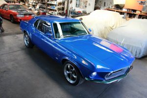mustang leo