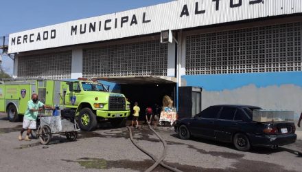 mercado alto de jalisco