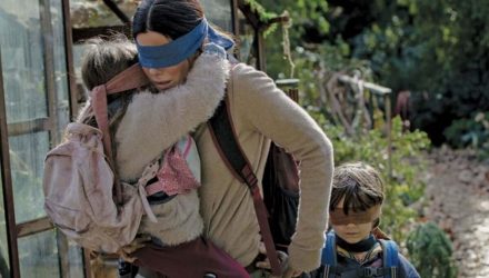 bird box