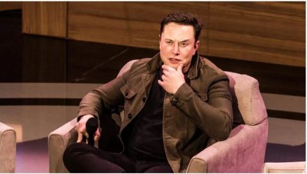 elon