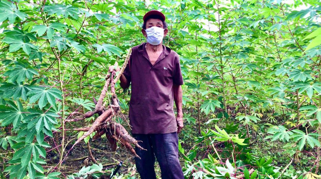 Gobierno del Zulia alista cosecha de frutas y vegetales en 312 hectáreas del Fundo Socialista "Las Lomas" 4 fundo 3