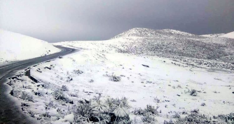 La nieve cubrió los páramos merideños (+Video) 1 merida