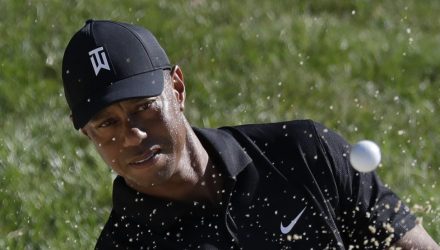 tiger de portada