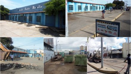 Mercado santa rosalia b