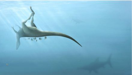 dinotran