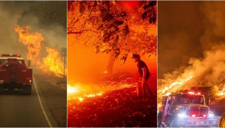 incendios cali
