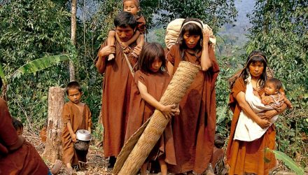 indigenas en brasil