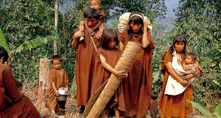 indigenas en brasil