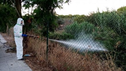 municipios cercanos al brote aumentan la fumigacion por el virus del nilo