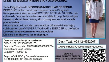 servicio público