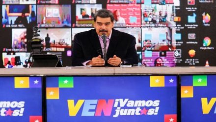 candidatos y vacuna 1