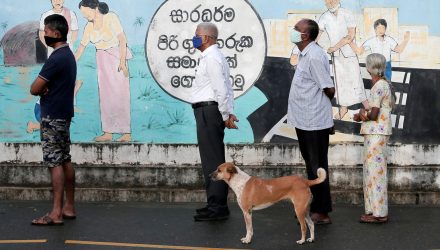humanos virus