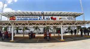 zulia mia 3