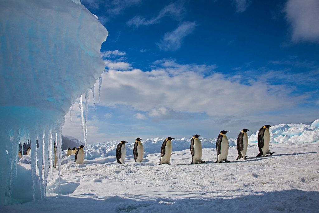 Aparece y desaparece: descubren extraño comportamiento de un enorme agujero en el hielo antártico 2 Antártico