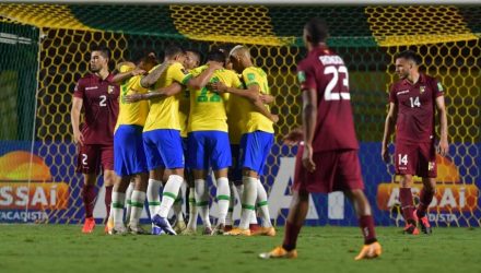La Vinotinto|