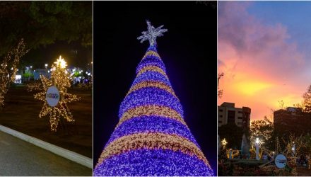collage navidad b