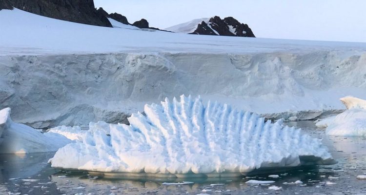 Aparece y desaparece: descubren extraño comportamiento de un enorme agujero en el hielo antártico 1 Antártico