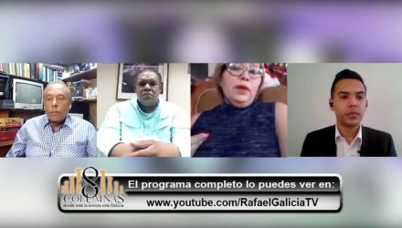 diputados