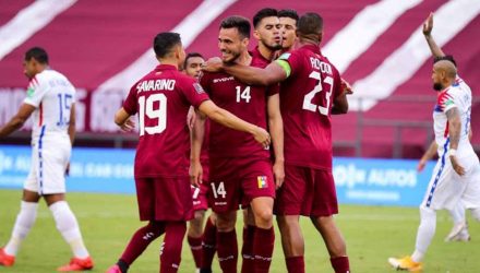 Vinotinto