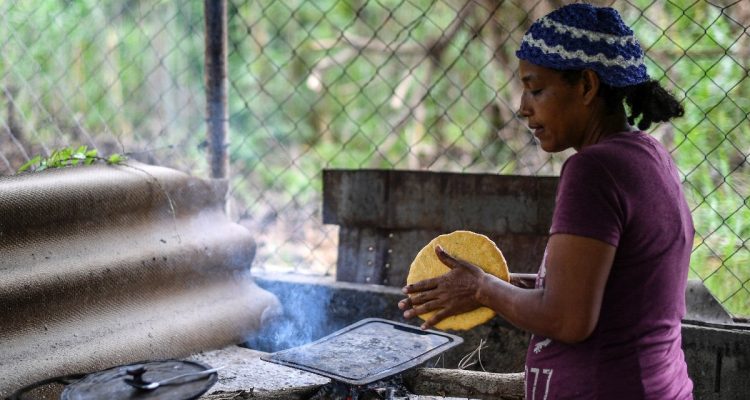 La pesada carga de leña para cocinar recae sobre los hombros de una Venezuela sin gas 1 leña