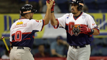 Tigres de Aragua