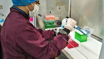 Laboratorio