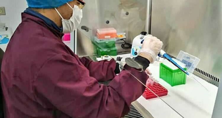 Laboratorio de Biología Molecular del Zulia se consolida en el proceso de análisis de PCR en tiempo real para Covid-19 1 Laboratorio