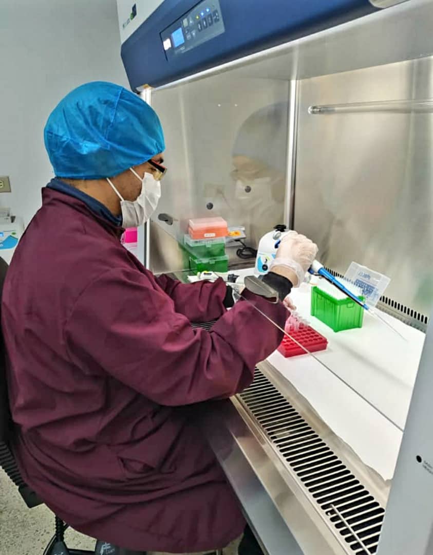 Laboratorio de Biología Molecular del Zulia se consolida en el proceso de análisis de PCR en tiempo real para Covid-19 3 Laboratorio