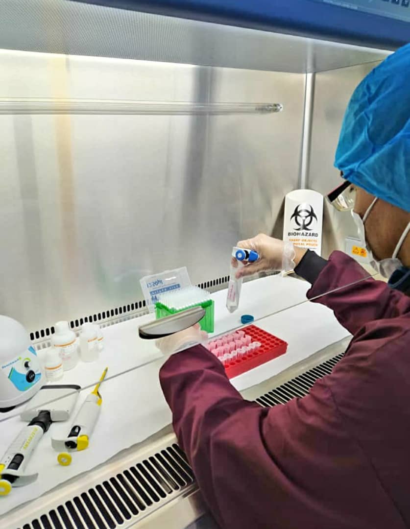 Laboratorio de Biología Molecular del Zulia se consolida en el proceso de análisis de PCR en tiempo real para Covid-19 4 Laboratorio