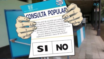 consulta