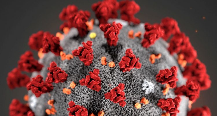 Identifican en Reino Unido una «nueva variante» de coronavirus que se propaga más rápido 1 coronavirus