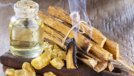 palo santo