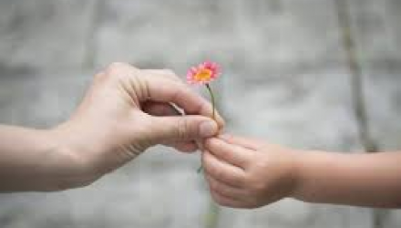 Gratitud