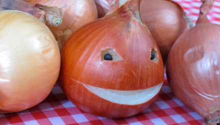 cebolla