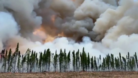 permafrost