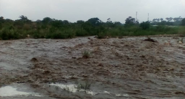 Táchira