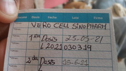 Vero Cell