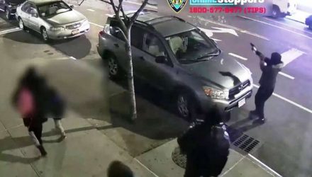 nypd plomo