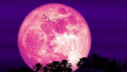 superluna de fresa shutterstock 0 0 1200 747