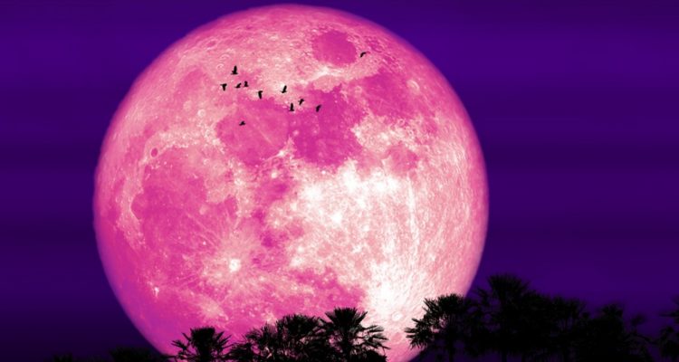 superluna de fresa shutterstock 0 0 1200 747