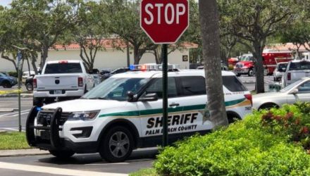 tiroteo en florida